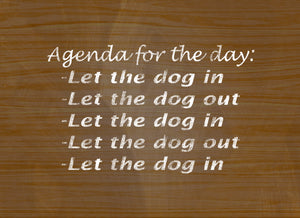 Wood Frames - Pet - Agenda For The Day