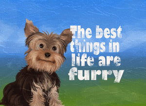 Wood Frames - Pet - Best Things In Life Are Furry