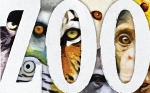 Wood Frames - Zoo - Zoo Animal Eyes