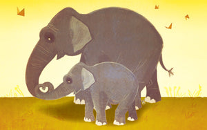 Wood Frames - Zoo - Zoo Elephants