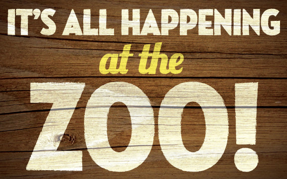 Wood Frames - Zoo - It's All Happening At The Zoo